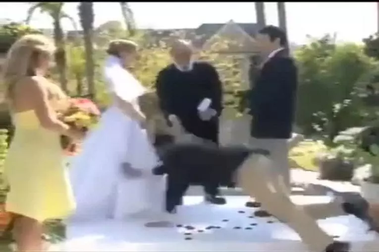 Le mec qu'il ne fallait pas inviter à son mariage