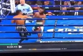 Video Humour Fail Insolite Délire 229