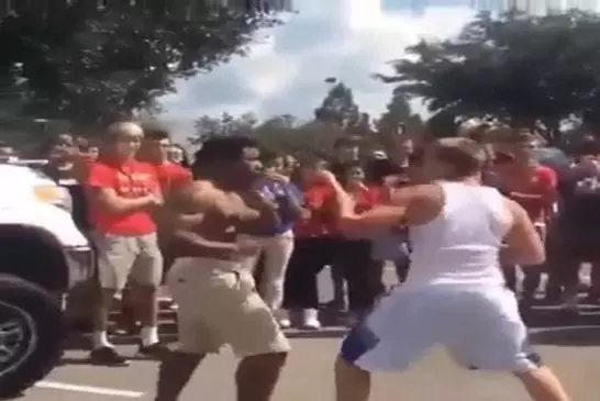 Video Humour Fail Insolite Délire 231