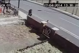 Video Humour Fail Insolite Délire 242