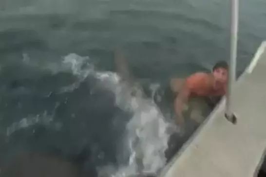 Video Humour Fail Insolite Délire 244