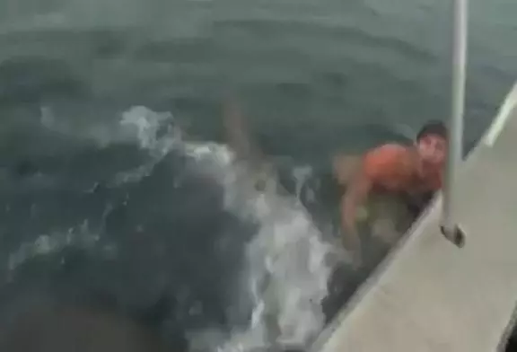 Video Humour Fail Insolite Délire 244