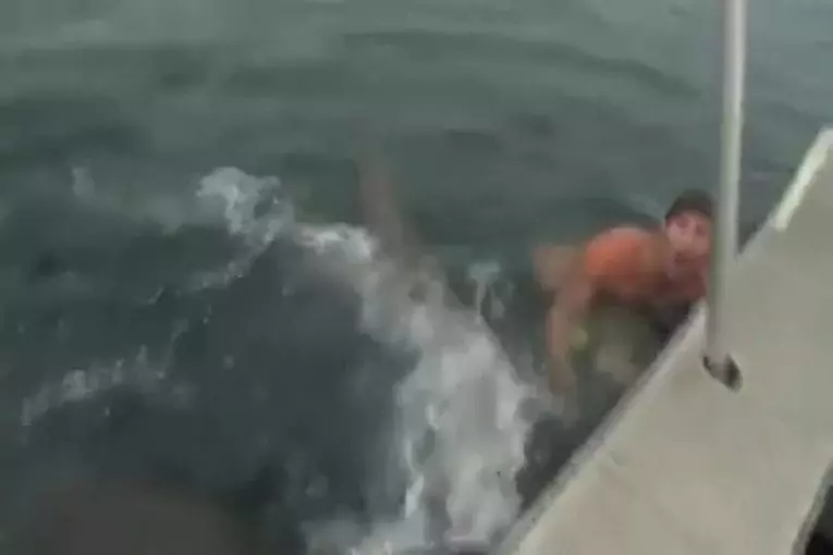 Video Humour Fail Insolite Délire 244