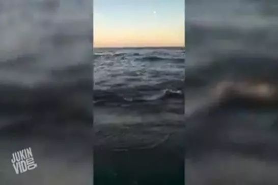 Video Humour Fail Insolite Délire 245
