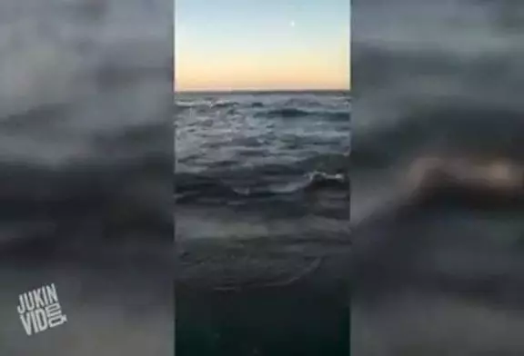 Video Humour Fail Insolite Délire 245