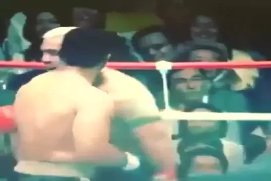 Video Humour Fail Insolite Délire 259