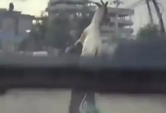 Video Humour Fail Insolite Délire 281