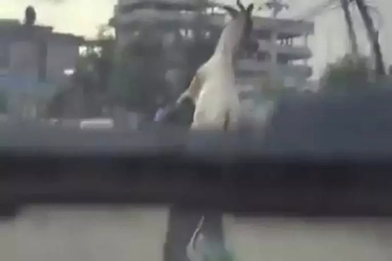 Video Humour Fail Insolite Délire 281