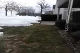 Video Humour Fail Insolite Délire 290