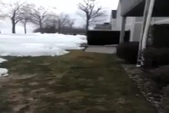 Video Humour Fail Insolite Délire 290
