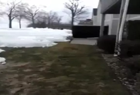Video Humour Fail Insolite Délire 290