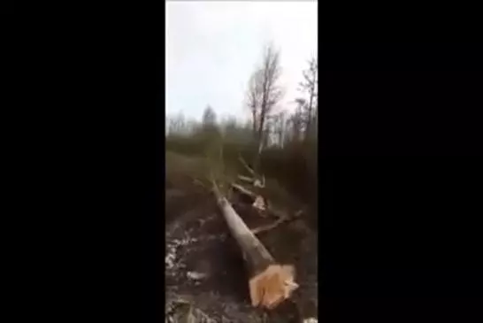 Video Humour Fail Insolite Délire 294