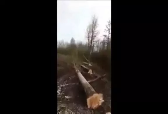 Video Humour Fail Insolite Délire 294