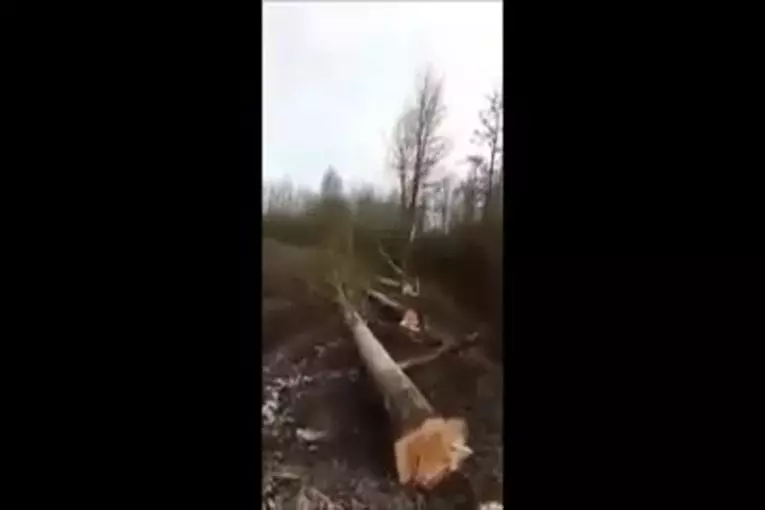 Video Humour Fail Insolite Délire 294