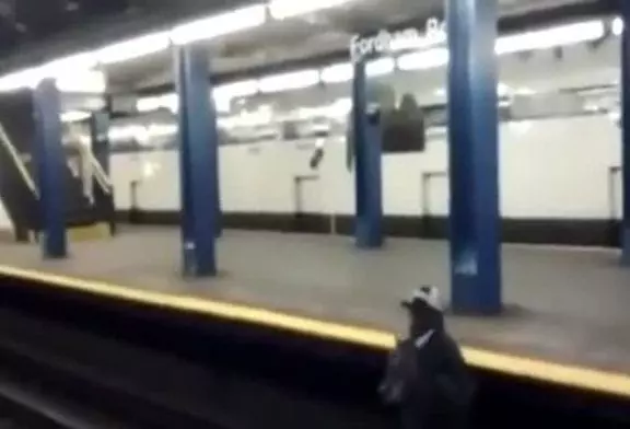 Video Humour Fail Insolite Délire 332