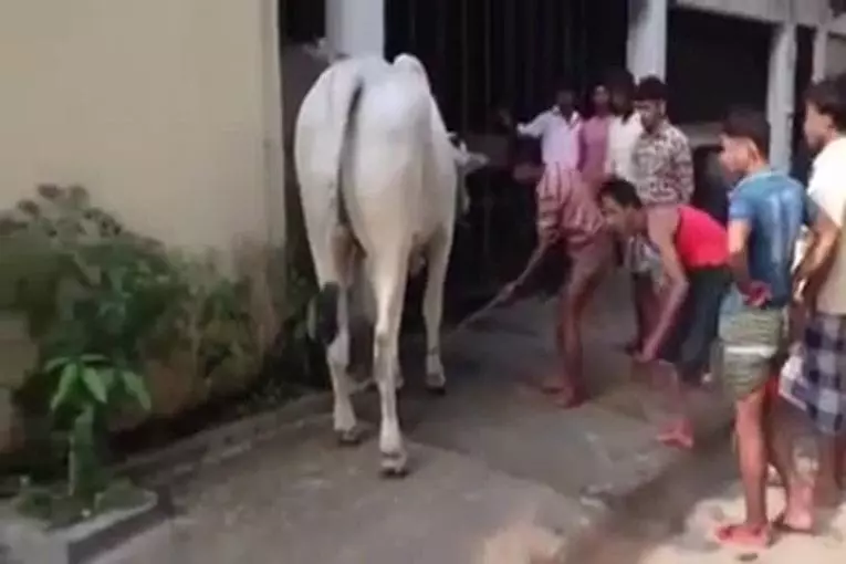 Video Humour Fail Insolite Délire 334