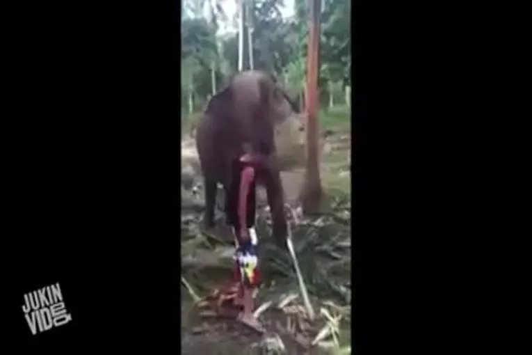 Video Humour Fail Insolite Délire 336