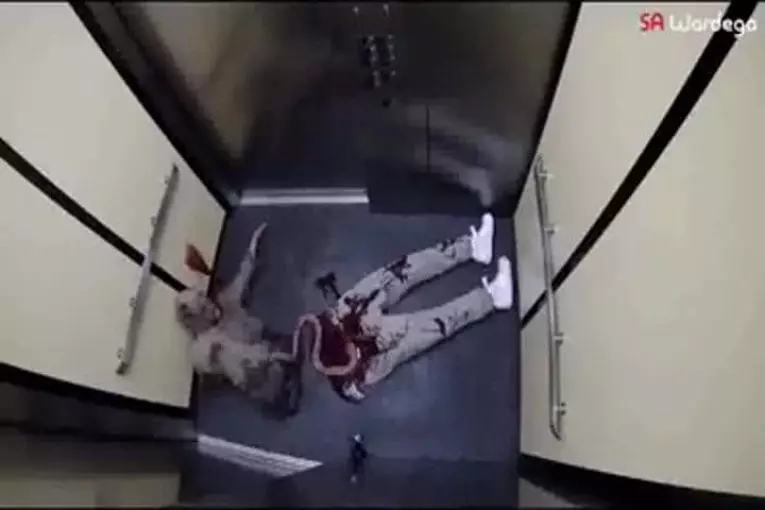 Video Humour Fail Insolite Délire 346