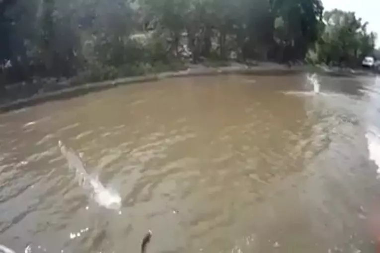 Video Humour Fail Insolite Délire 359