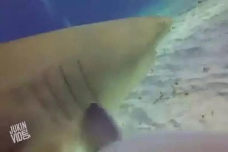 Video Humour Fail Insolite Délire 368