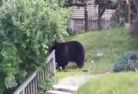 Video Humour Fail Insolite Délire 386