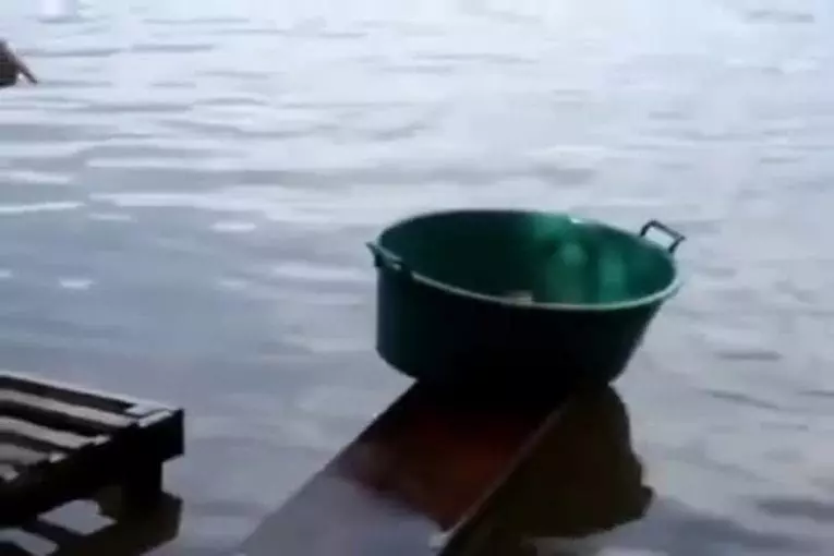 Video Humour Fail Insolite Délire 387