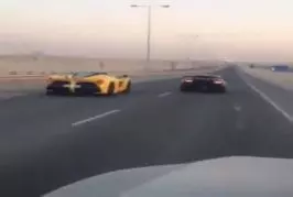 Video Humour Fail Insolite Délire 389
