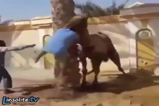 Video Humour Fail Insolite Délire 410