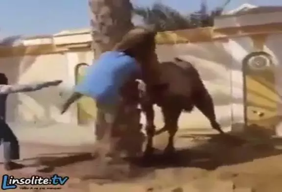 Video Humour Fail Insolite Délire 410