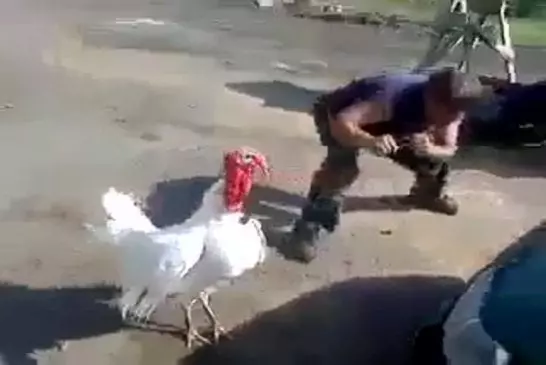 Video Humour Fail Insolite Délire 413