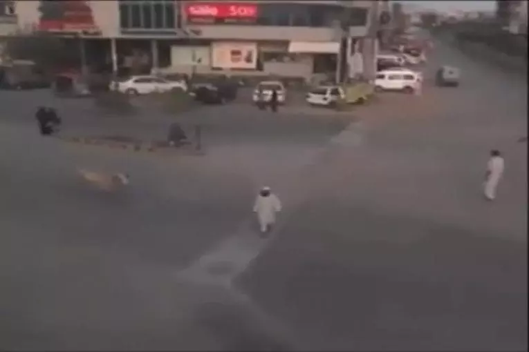 Video Humour Fail Insolite Délire 419