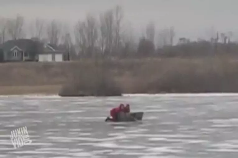 Video Humour Fail Insolite Délire 428