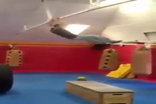 Video Humour Fail Insolite Délire 442