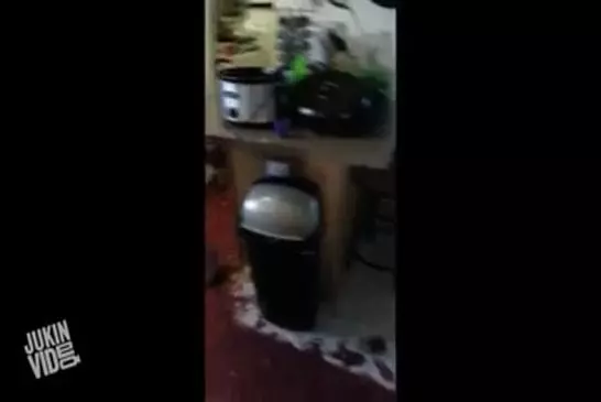Video Humour Fail Insolite Délire 443