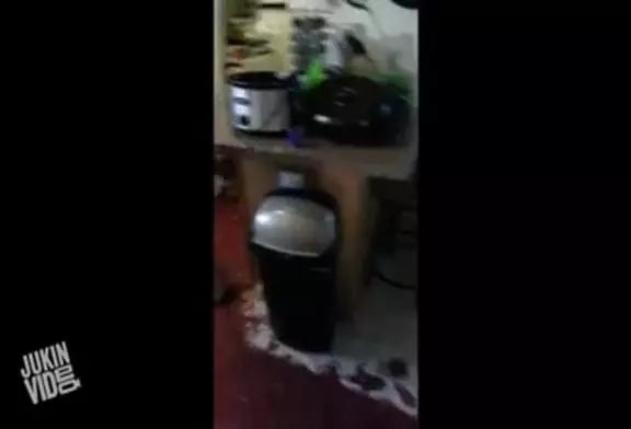 Video Humour Fail Insolite Délire 443