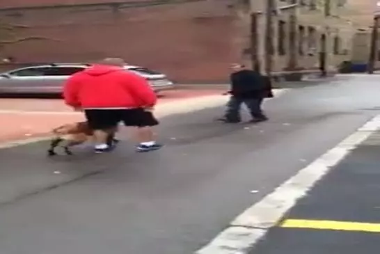 Video Humour Fail Insolite Délire 446