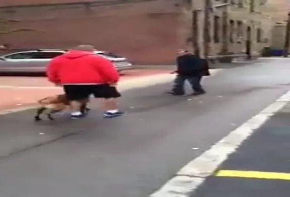 Video Humour Fail Insolite Délire 446