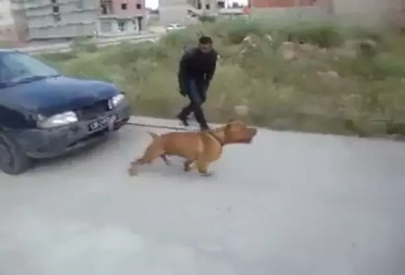 Video Humour Fail Insolite Délire 461