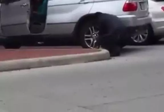 Cette femme roule avec un sabot accroché à sa roue