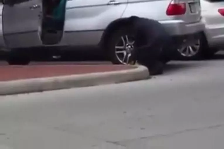 Cette femme roule avec un sabot accroché à sa roue