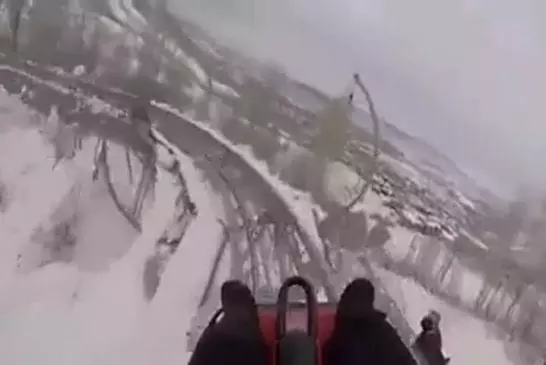 Descente en luge de l'extrême