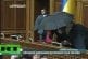 Bagarre Parlement Ukrainien