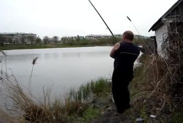 Un chat attrape le poisson au vol