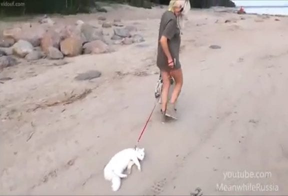 Une belle blonde promène son chat sur la plage