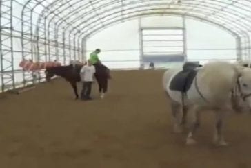 Comment ne pas sauter sur un cheval