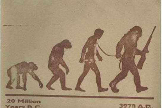 the evolution of humanity