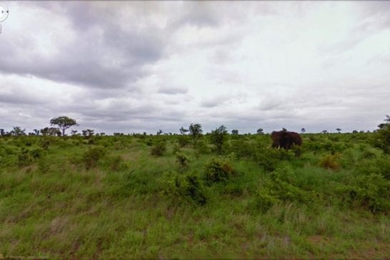 Bizarre Google Street View 25