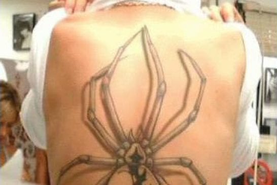 Tatouage d'araignée dans le dos