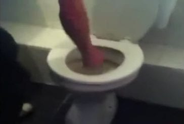 Comment déboucher vos toilettes