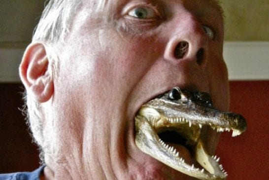 Gator Mouth